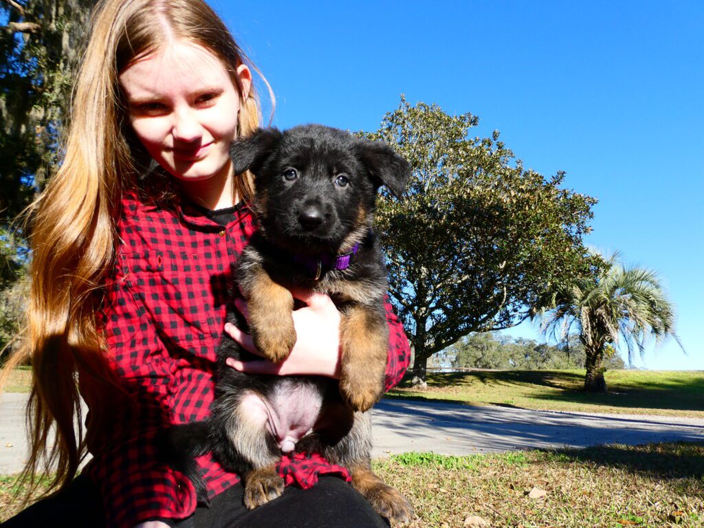 Child in red dress carrying a puppy